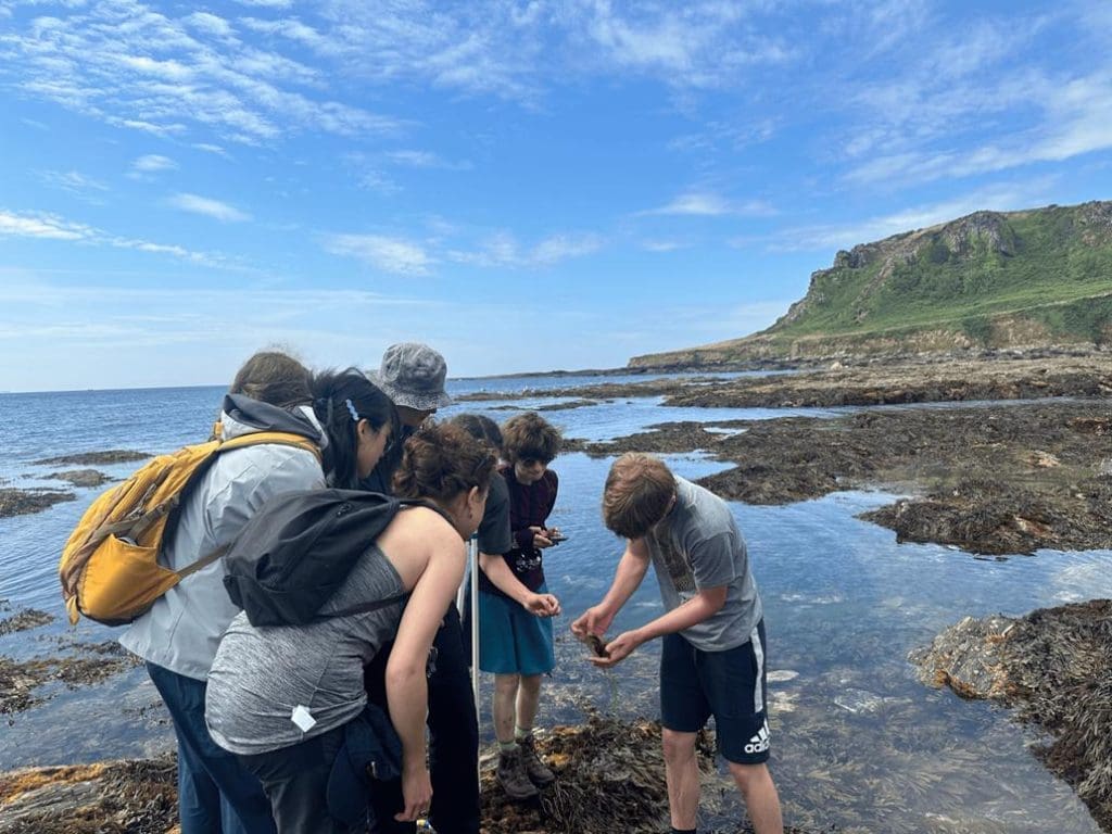 group of school pupils investigating rock pools at the coast