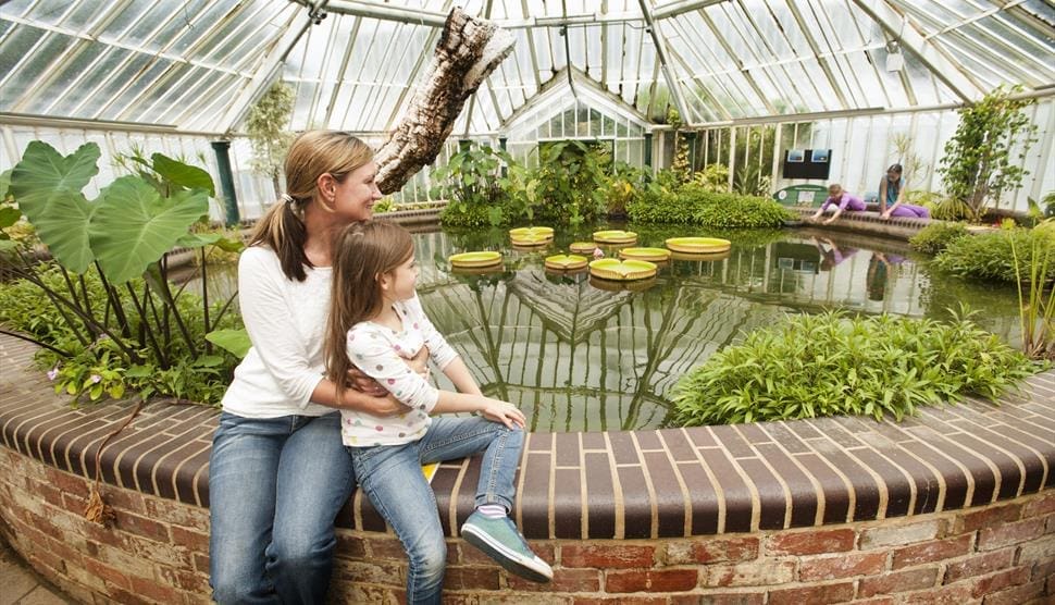 Staunton Farm School Visits Hampshire 2 mother and child inside a glass room with tropical water flowers in a large pond area