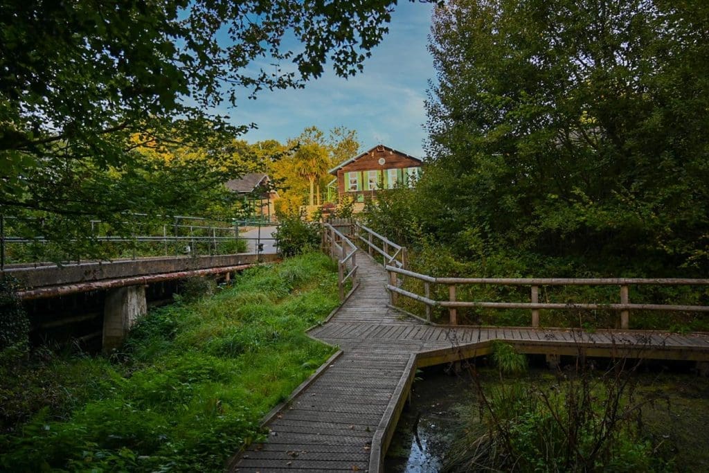 Residential Centre building in woodland