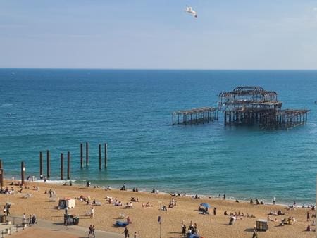 WBH Brighton (Copy)